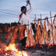 Not wildfood007, but in the same spirit